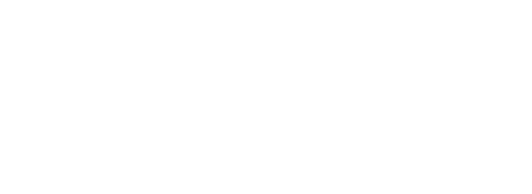 Logo 2 Gemini